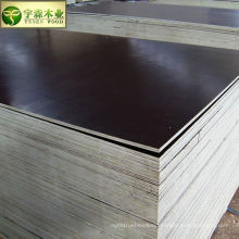 12mm Black Film Faced Plywood with Cheap Price